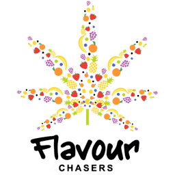 Flavour Chasers