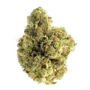Skywalker Saga - Amsterdam Genetics