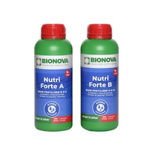 Nutri Forte A+B Hydro-0