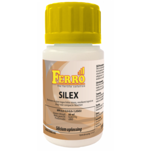 Silex - Ferro