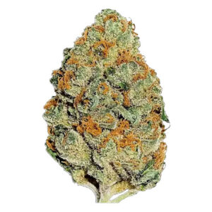 Lemon Mandarin - FastBuds
