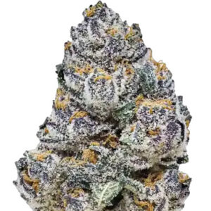 Rainbow Melon - FastBuds